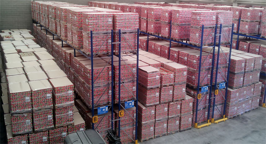 Lanzi Logistica Lanzi Logistica